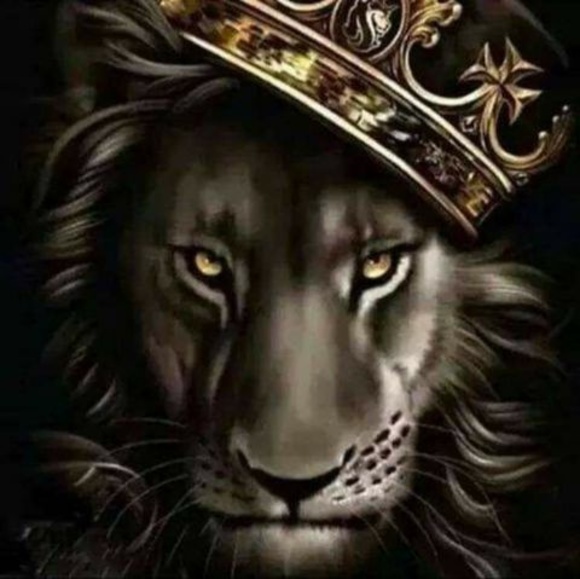 Meet your Posher, Mark - Picture 1 of 1